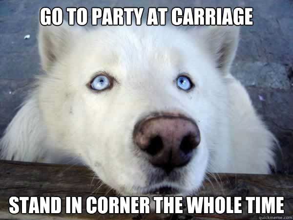 GO TO PARTY AT CARRIAGE STAND IN CORNER THE WHOLE TIME - GO TO PARTY AT CARRIAGE STAND IN CORNER THE WHOLE TIME  Socially Awkward Husky