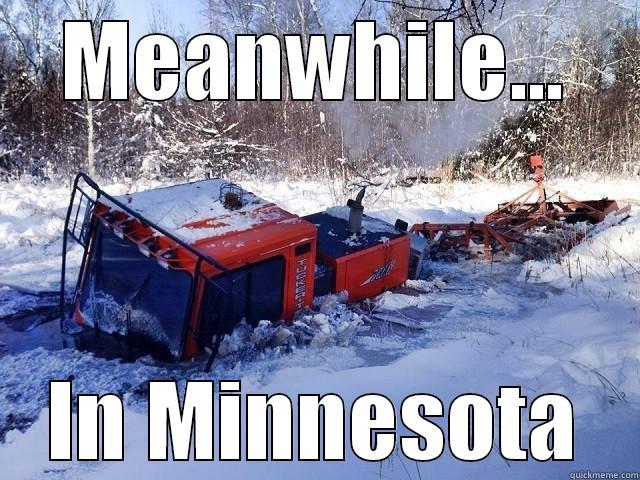 MEANWHILE... IN MINNESOTA Misc