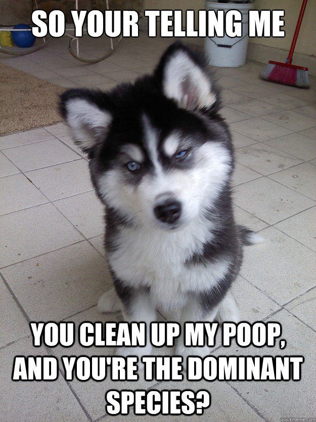 So your telling me you clean up my poop, and you're the dominant species?  Skeptical Newborn Puppy