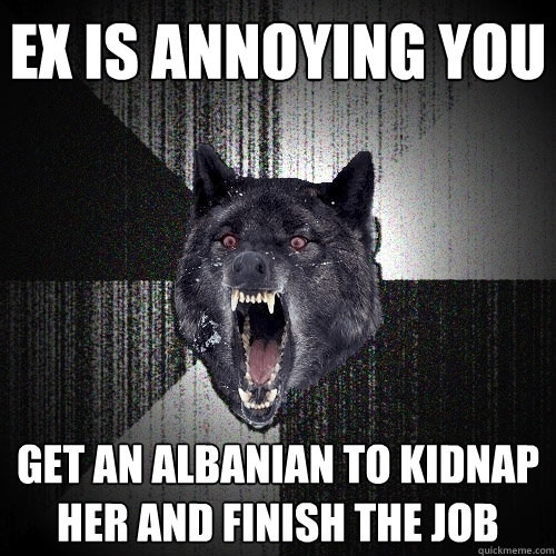 ex is annoying you get an albanian to kidnap her and finish the job  Insanity Wolf