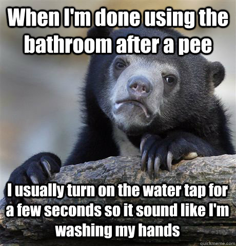 When I'm done using the bathroom after a pee I usually turn on the water tap for a few seconds so it sound like I'm washing my hands  Confession Bear