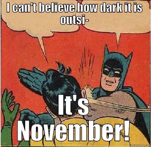 I CAN'T BELIEVE HOW DARK IT IS OUTSI- IT'S NOVEMBER! Batman Slapping Robin