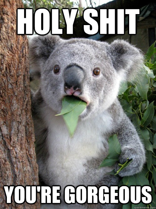Holy shit You're gorgeous  Surprised Koala