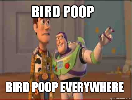 Bird poop Bird poop everywhere  woody and buzz