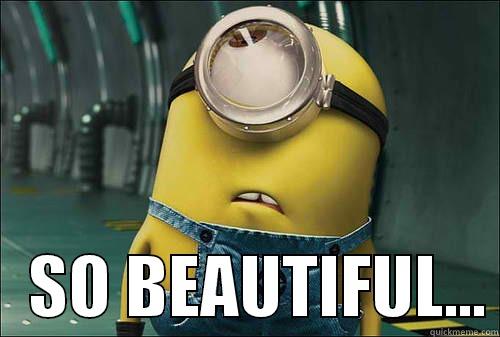 BEAUTIFUL MINION XD -     SO BEAUTIFUL... Misc