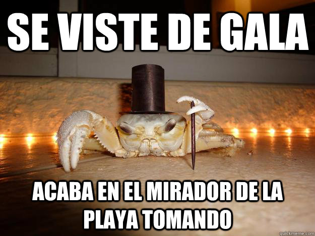 se viste de gala acaba en el mirador de la playa tomando  Fancy Crab