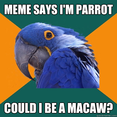 Meme says I'm parrot Could I be a macaw?  Paranoid Parrot