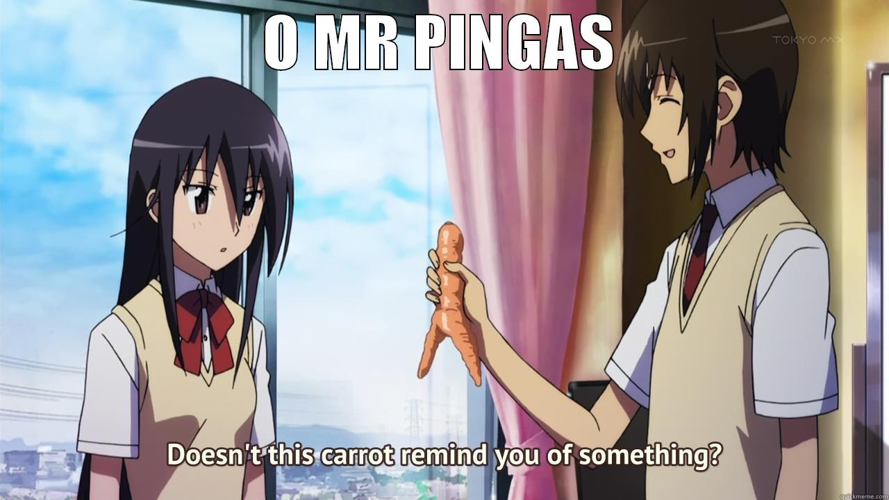 PINGAS SAGNIP - O MR PINGAS  Misc