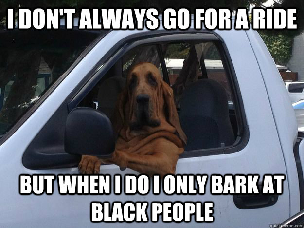 I don't always go for a ride But when I do I only bark at black people  Slightly Racist Dog