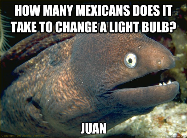 How many mexicans does it take to change a light bulb? Juan  Bad Joke Eel