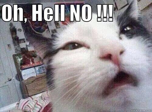 OH, HELL NO !!!             Misc