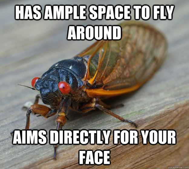 Has ample space to fly around Aims directly for your face  