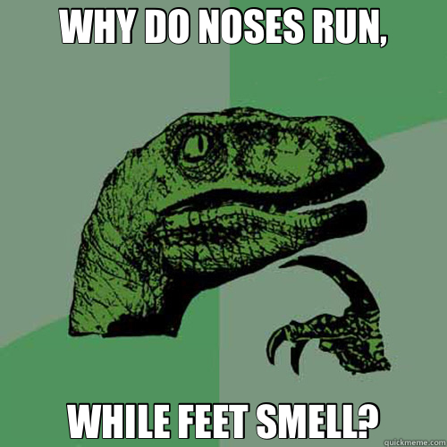 WHY DO NOSES RUN, WHILE FEET SMELL? Misc quickmeme