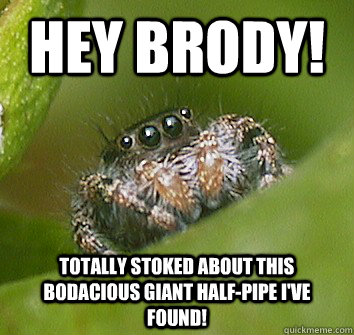 Hey Brody! Totally stoked about this bodacious giant half-pipe I'VE FOUND!   Misunderstood Spider