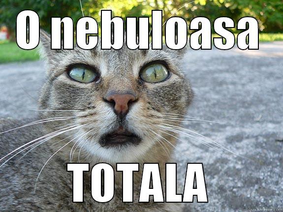 O NEBULOASA TOTALA Misc