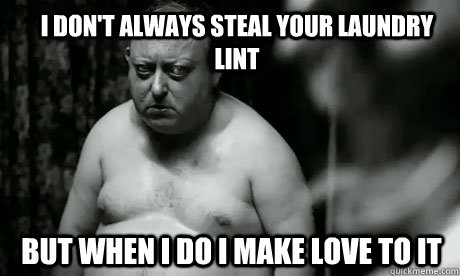 I don't always steal your laundry lint but when i do I make love to it  