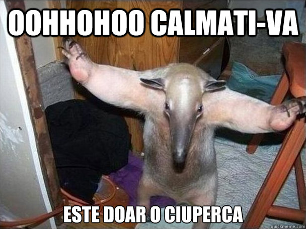 oohhohoo calmati-va este doar o ciuperca   I got this