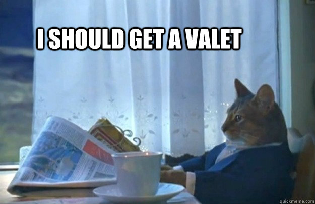 I should get a Valet  Sophisticated Cat