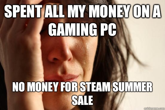 Spent all my money on a gaming PC No money for steam summer sale  First World Problems