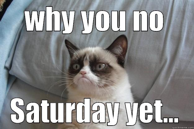 WHY YOU NO SATURDAY YET... Grumpy Cat