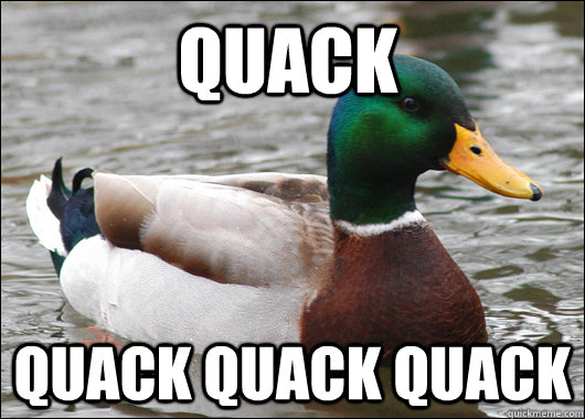 Quack Quack Quack Quack   Actual Advice Mallard