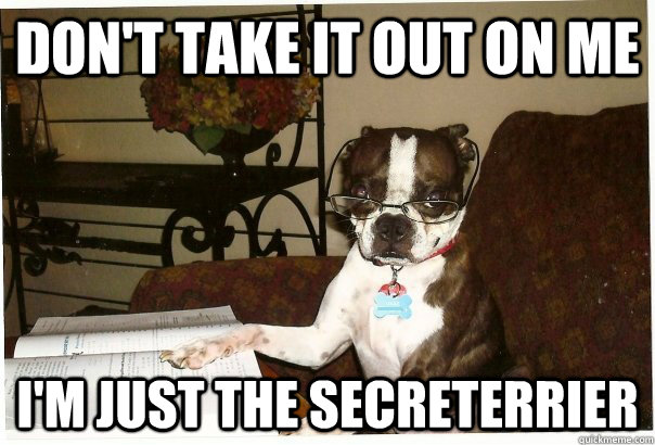Don't take it out on me I'm just the secreterrier  Receptionist Dog