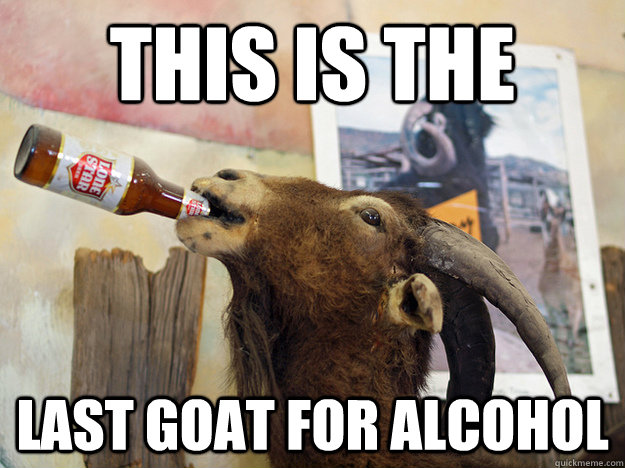 THIS IS THE LAST GOAT FOR ALCOHOL - THIS IS THE LAST GOAT FOR ALCOHOL  goat