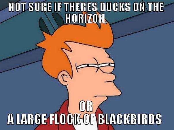 Not sure duck hunt - NOT SURE IF THERES DUCKS ON THE HORIZON, OR A LARGE FLOCK OF BLACKBIRDS  Futurama Fry