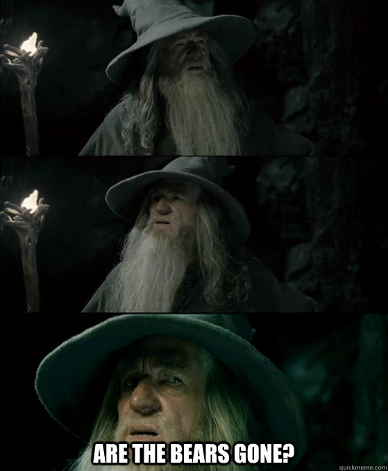  Are the bears gone? -  Are the bears gone?  Confused Gandalf