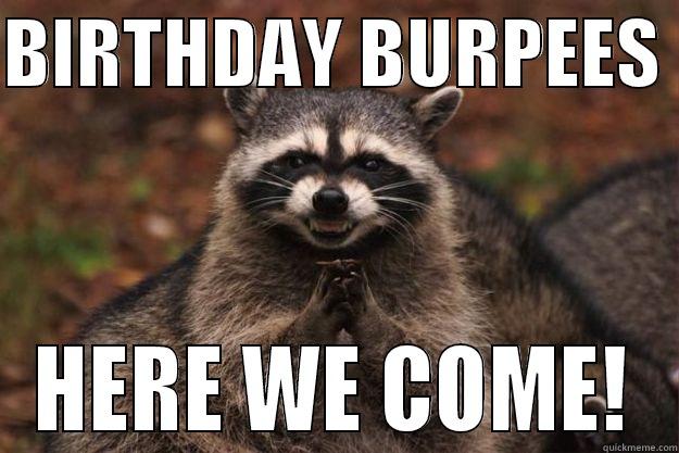 BIRTHDAY BURPEES  HERE WE COME! Evil Plotting Raccoon