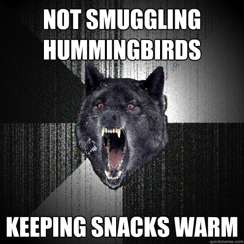 not smuggling hummingbirds keeping snacks warm  Insanity Wolf