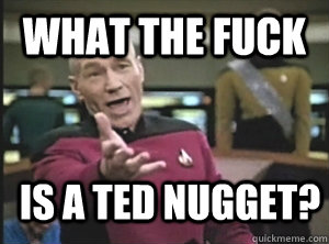 What the fuck Is a Ted Nugget? - What the fuck Is a Ted Nugget?  Annoyed Picard