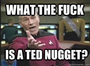 What the fuck Is a Ted Nugget?  Annoyed Picard
