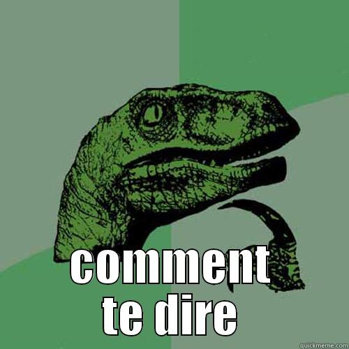  COMMENT TE DIRE Philosoraptor