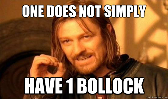One Does Not Simply HAVE 1 BOLLOCK  Boromir
