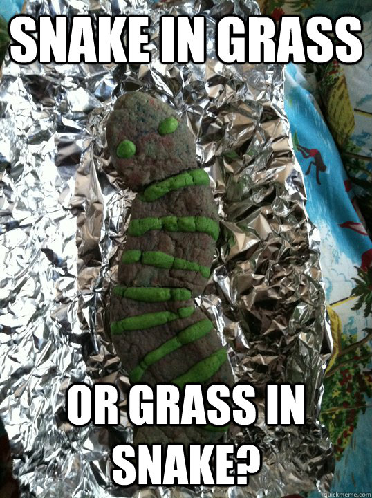 Snake in Grass Or Grass in Snake?  