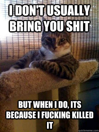 I don't usually bring you shit but when I do, its because i fucking killed it  The Most Interesting Cat in the World