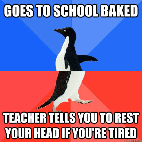Goes to school baked Teacher tells you to rest your head if you're tired  Socially Awkward Awesome Penguin