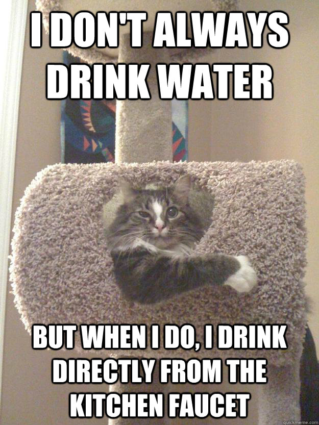I don't always drink water But when I do, I drink directly from the kitchen faucet  