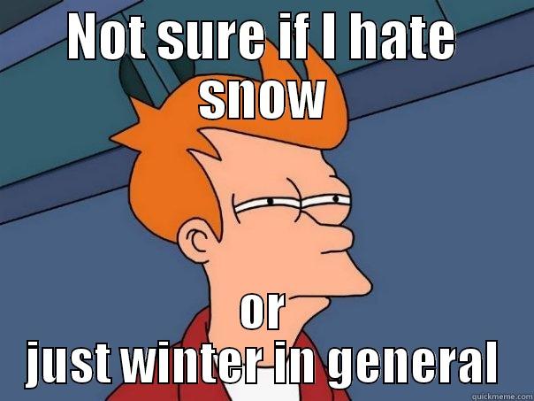 NOT SURE IF I HATE SNOW OR JUST WINTER IN GENERAL Futurama Fry