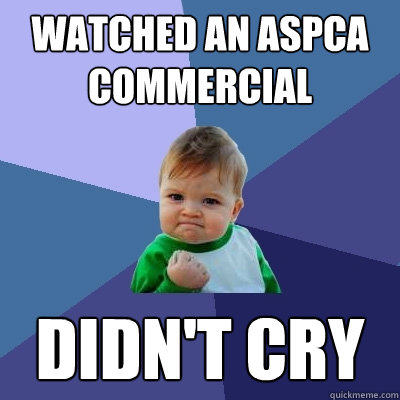 Watched an ASPCA Commercial Didn't cry - Watched an ASPCA Commercial Didn't cry  Success Kid