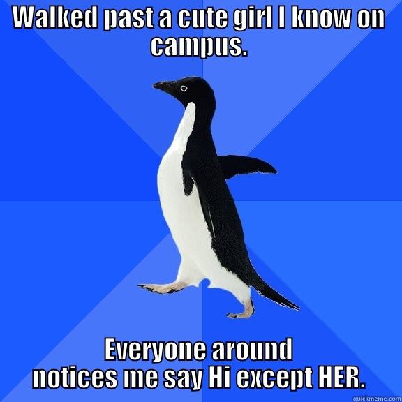 WALKED PAST A CUTE GIRL I KNOW ON CAMPUS. EVERYONE AROUND NOTICES ME SAY HI EXCEPT HER. Socially Awkward Penguin