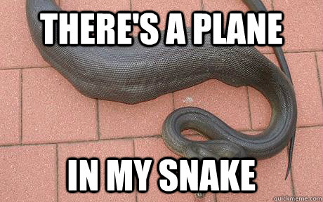 There's a plane in my snake  snake