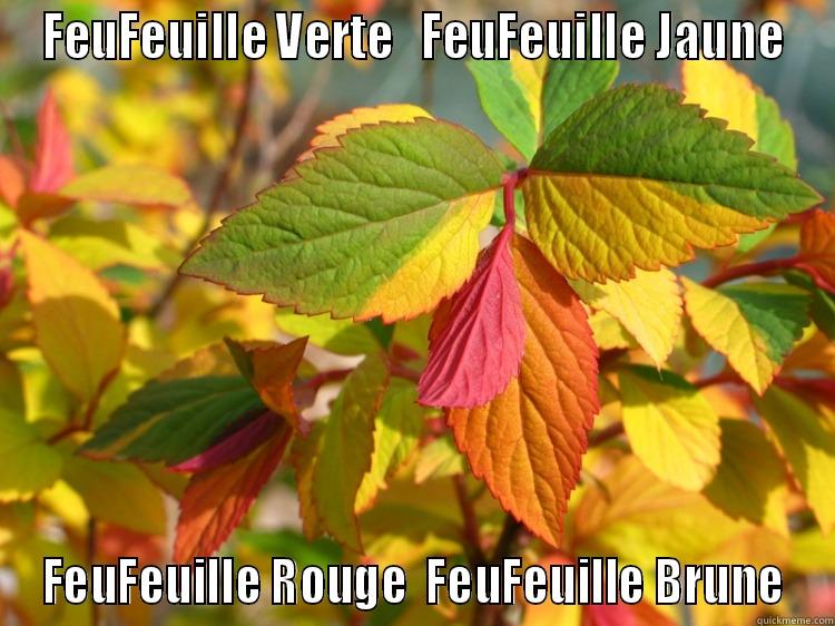 FEUFEUILLE VERTE   FEUFEUILLE JAUNE FEUFEUILLE ROUGE  FEUFEUILLE BRUNE Misc