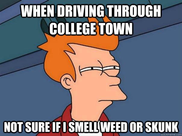 When driving through college town not sure if i smell weed or skunk  Futurama Fry