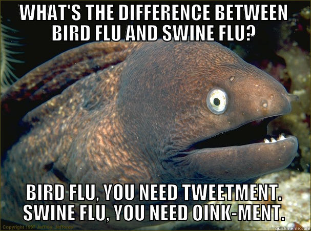 WHAT'S THE DIFFERENCE BETWEEN BIRD FLU AND SWINE FLU? BIRD FLU, YOU NEED TWEETMENT. SWINE FLU, YOU NEED OINK-MENT. Bad Joke Eel