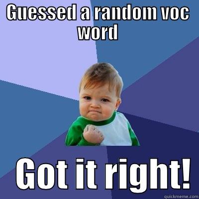 GUESSED A RANDOM VOC WORD    GOT IT RIGHT! Success Kid