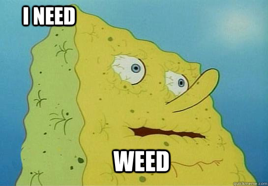 Weed I Need - Weed I Need  Dehydrated Spongebob