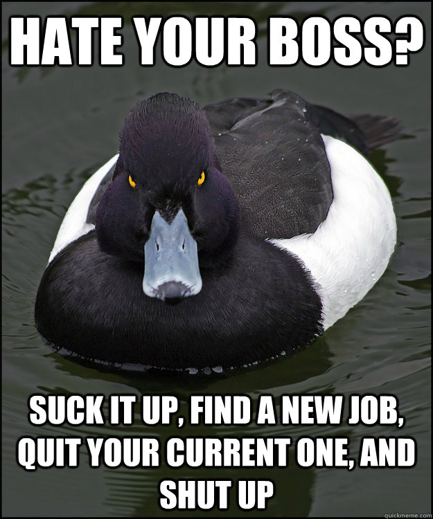 hate your boss? suck it up, find a new job, quit your current one, and shut up - hate your boss? suck it up, find a new job, quit your current one, and shut up  Angry Advice Duck