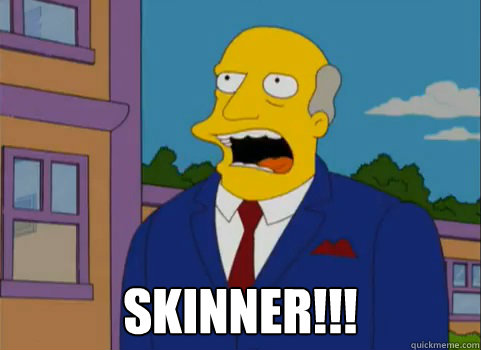 Skinner!!! - Skinner!!!  Misc